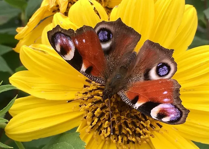 Mach Mal Pause Bei Geni & Bernd